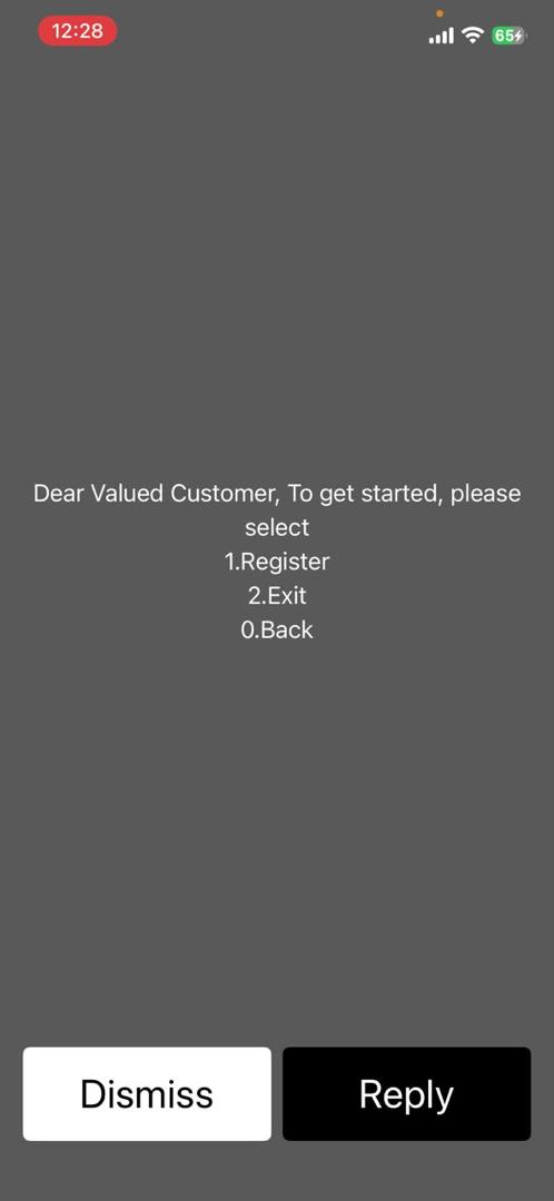 USSD registration screen