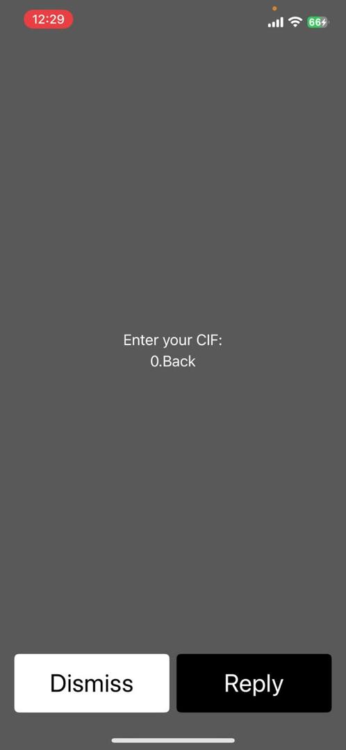 USSD registration screen
