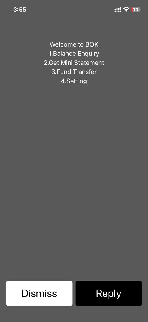 USSD check balance screen