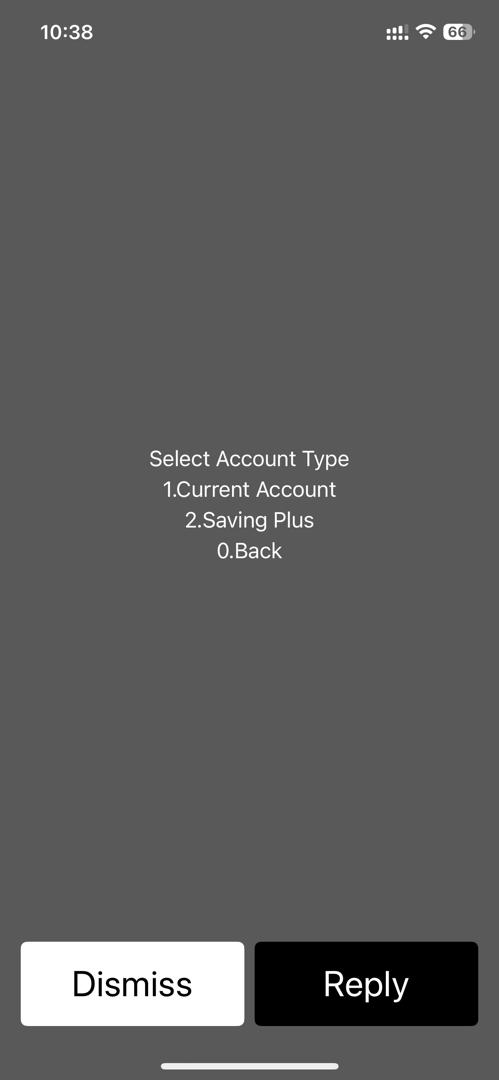 USSD fund transfer screen