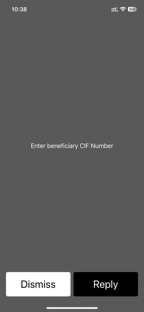 USSD fund transfer screen