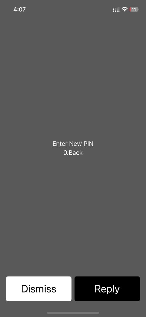 USSD Change MPIN screen