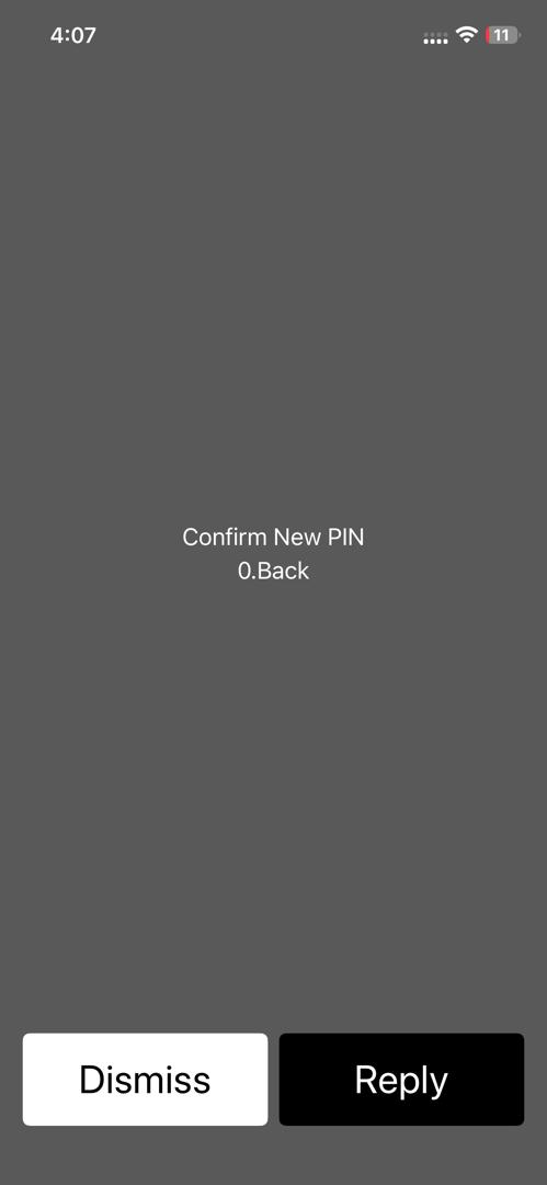USSD Change MPIN screen