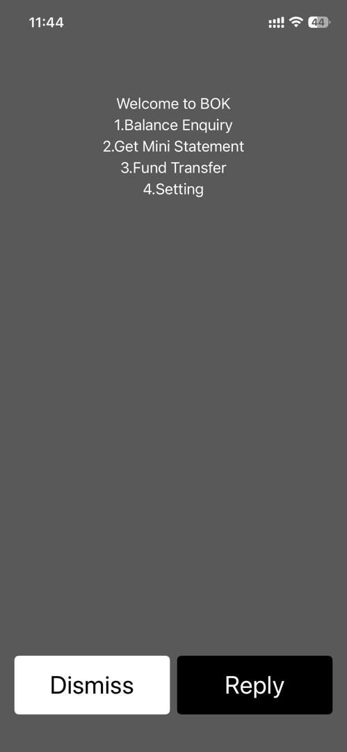 USSD Disable the service screen